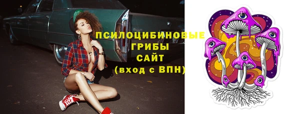 МДМА Белокуриха